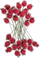 Szronione czerwone jagody 1,5cm 31szt - tantis.pl