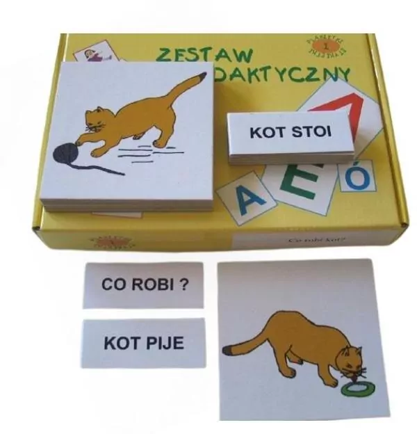 Zestaw dydaktyczny. Co robi kot? - tantis.pl