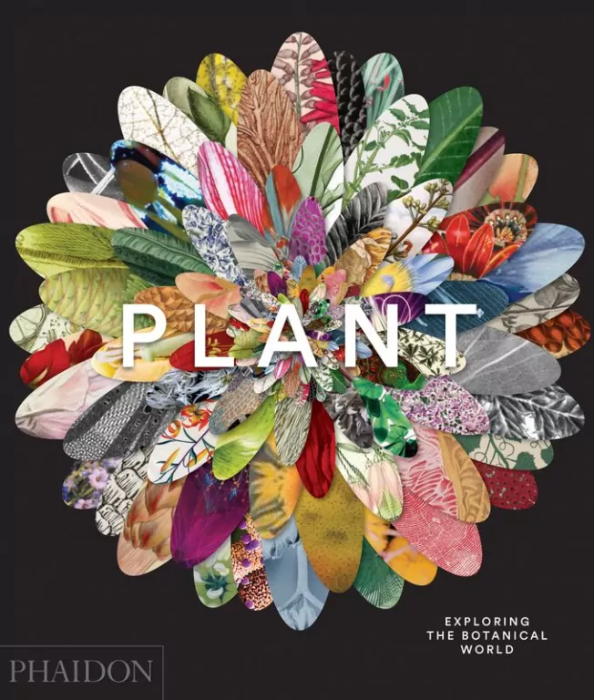 Plant Exploring the Botanical World - tantis.pl