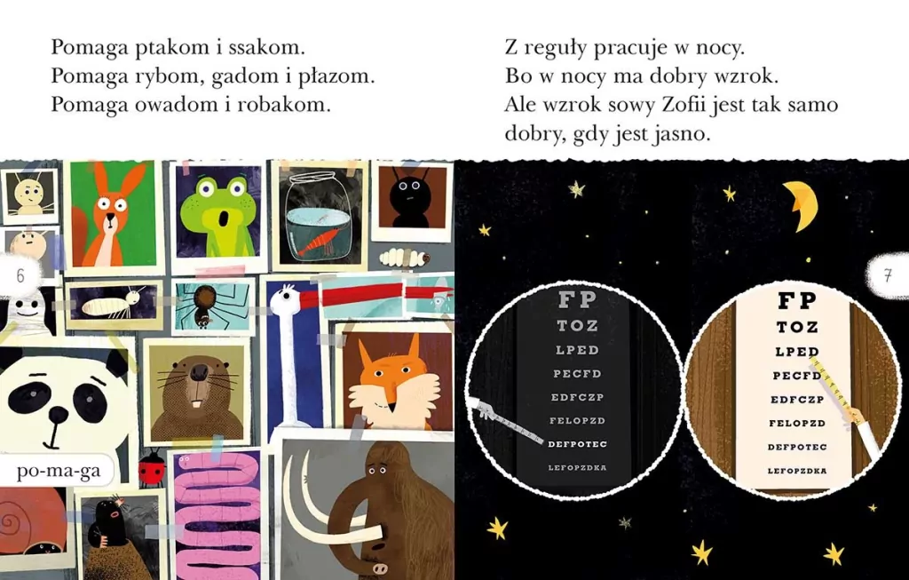 Detektyw Sowa na tropie. Czytam sobie. Poziom 2 - tantis.pl