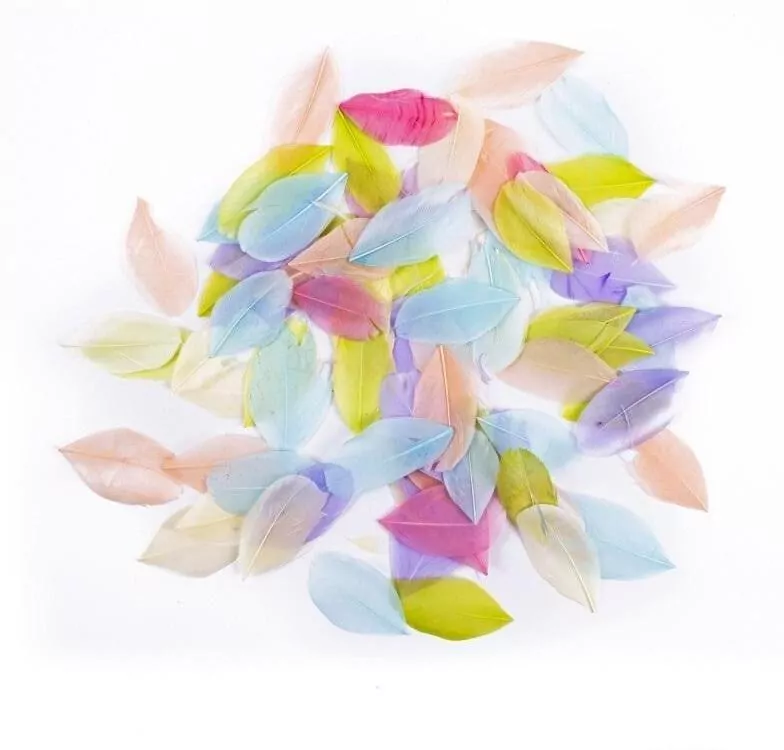 Pióra gęsie pastel 6cm 5g - tantis.pl