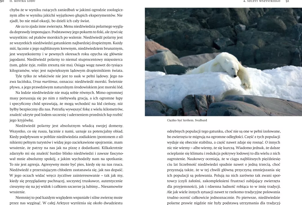 Czochrałem antarktycznego słonia w.rozszerzone - tantis.pl