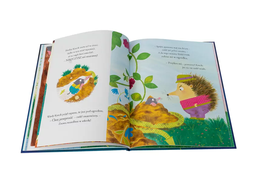 Wielkie marzenie małego Krecika - tantis.pl