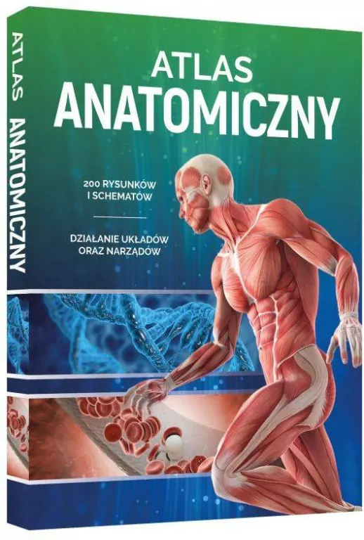 Atlas anatomiczny - tantis.pl