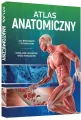 Atlas anatomiczny - tantis.pl