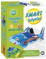 Smart inżynier - samochód rekin - tantis.pl