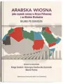 Arabska Wiosna jako czynnik zmiany w Afryce.. - tantis.pl
