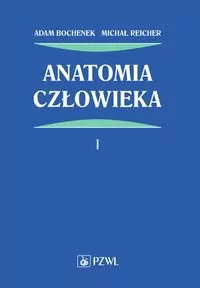 Anatomia człowieka. Tom 1 - tantis.pl
