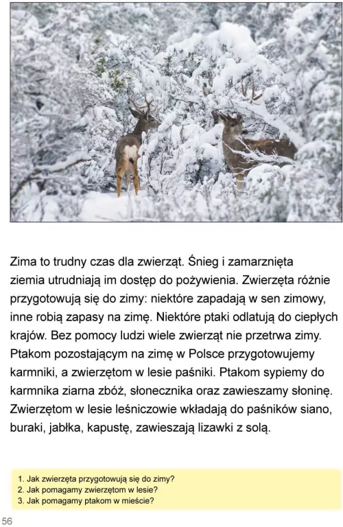 Mój rok. Podręcznik - tantis.pl