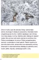 Mój rok. Podręcznik - tantis.pl