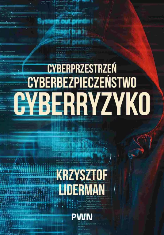 Cyberprzestrzeń, cyberbezpieczeństwo, cyberryzyko - tantis.pl