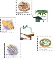 Puzzle. Fascynujące dinozaury - tantis.pl