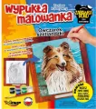 Zestaw kreatywny. Owczarek Szetlandzki - tantis.pl