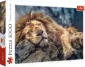 Puzzle 1000. Śpiący lew - tantis.pl