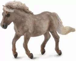 Kucyk Shetland Silver Dapple