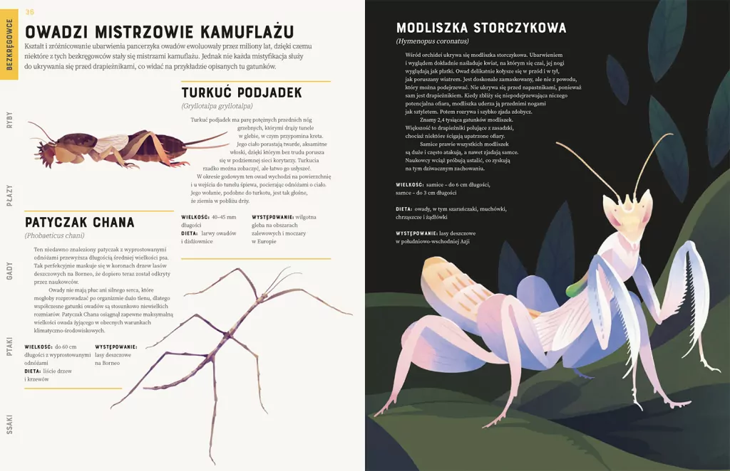 Zwierzęta od A do Z - tantis.pl