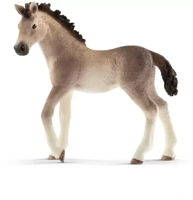 Źrebię rasy andaluzyjskiej 13822