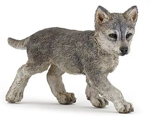 Wilk młody - tantis.pl