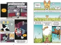 Koty. Natura i wychowanie. Naukomiks - tantis.pl