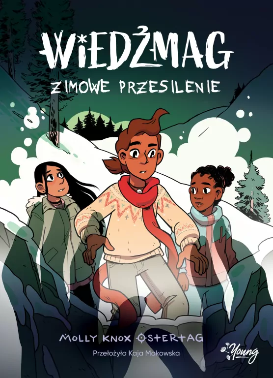 Zimowe przesilenie. Wiedźmag. Tom 3 - tantis.pl
