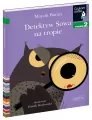 Detektyw Sowa na tropie. Czytam sobie. Poziom 2 - tantis.pl