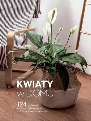 Kwiaty w domu - tantis.pl