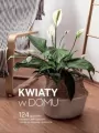 Kwiaty w domu - tantis.pl