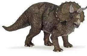 Triceratops - tantis.pl