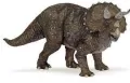 Triceratops - tantis.pl