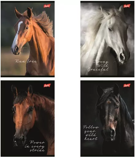 Zeszyt A5/60K kratka Wild Heart (10szt) - tantis.pl