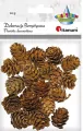 Szyszki mix rozmiarów brązowe 20g - tantis.pl