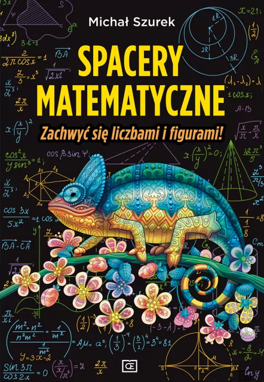 Spacery matematyczne. Zachwyć się liczbami i figurami! - tantis.pl