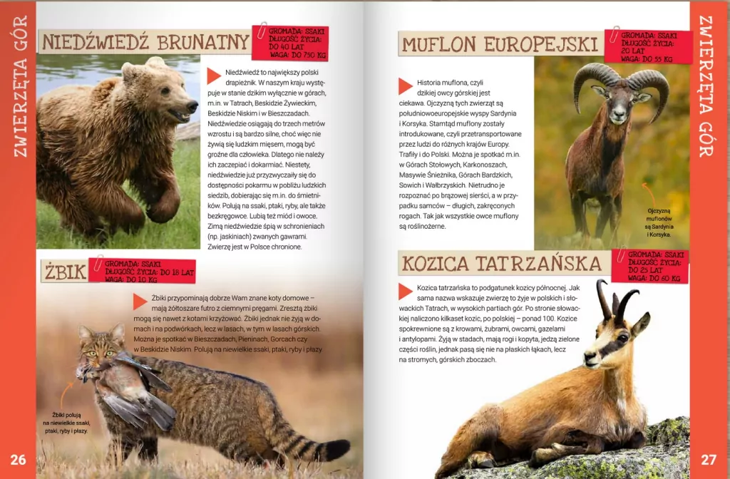 Zwierzęta Polski - tantis.pl