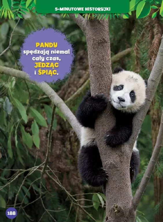 Małe zwierzątka. 5-minutowe historyjki. National Geographic Kids - tantis.pl