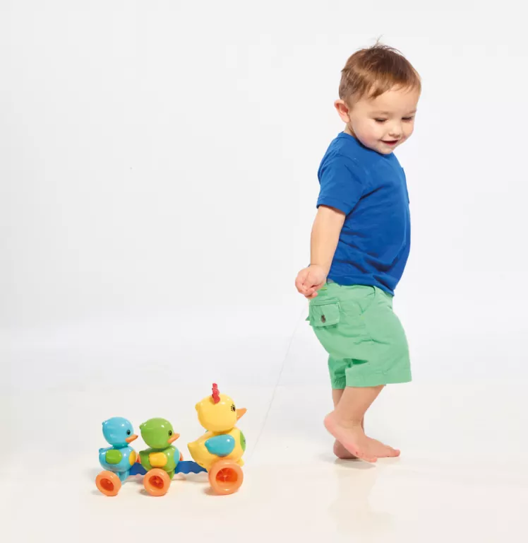 Wesołe drepczące kaczuszki - tantis.pl