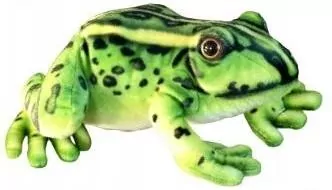 Żaba 28cm