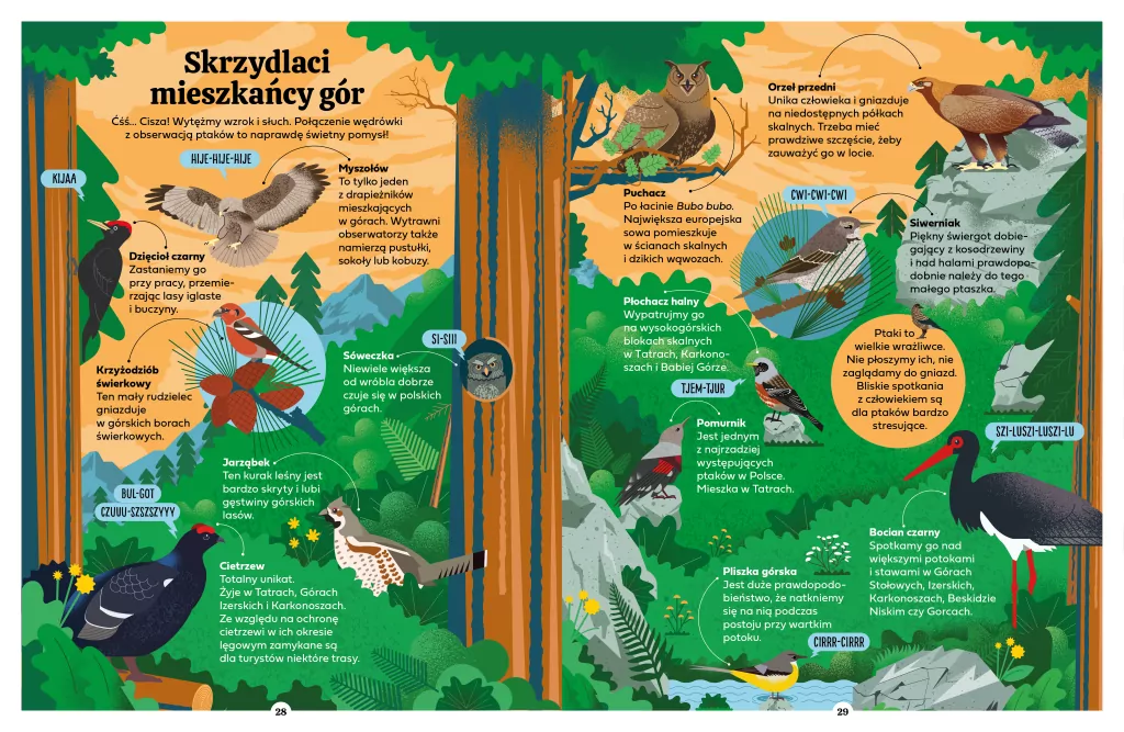 Poradnik młodych górzystów - tantis.pl