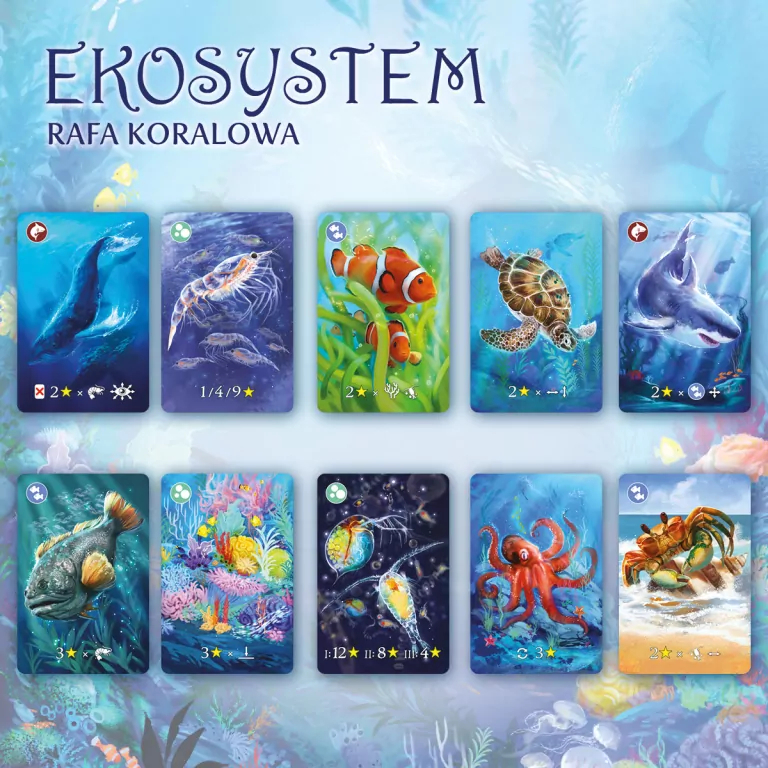 Ekosystem 2. Rafa koralowa - tantis.pl