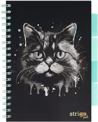 Kołozeszyt Pads B5/100K linia Kot