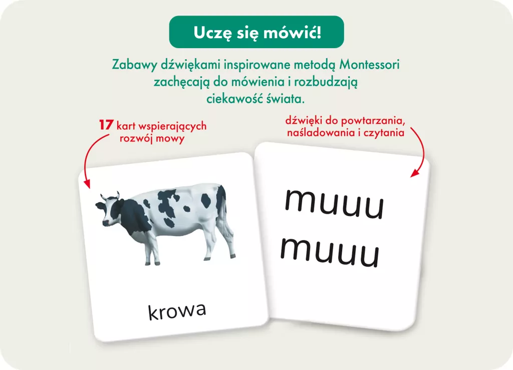 Montessori. Karty obrazkowe Dźwięki. 1-3 lata - tantis.pl