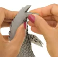 Origami 3D. Delfin - tantis.pl