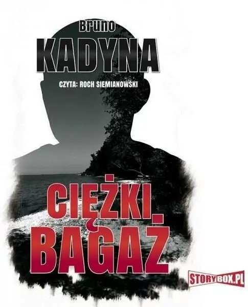 Ciężki bagaż. Audiobook - tantis.pl
