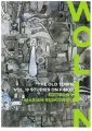 Wolin. The Old Town II. Studies on Finds - tantis.pl
