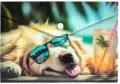 Koperta A5 PP na napę z nadrukiem Chillout Dog - tantis.pl