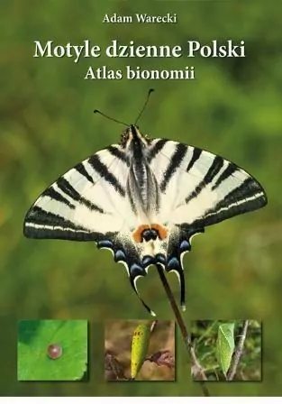 Motyle dzienne Polski. Atlas bionomii TW w.2021 - tantis.pl