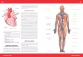 Atlas anatomiczny - tantis.pl