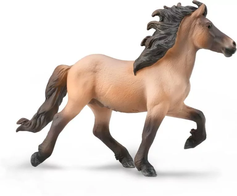 Icelandic Stallion Bay Dun - tantis.pl