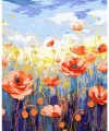 Malowanie po numerach 40x50cm Maki - tantis.pl