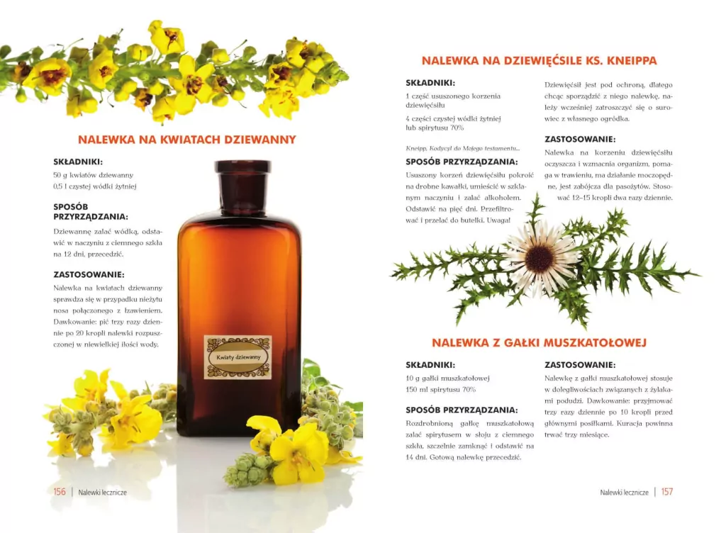 Atlas nalewek polskich - tantis.pl