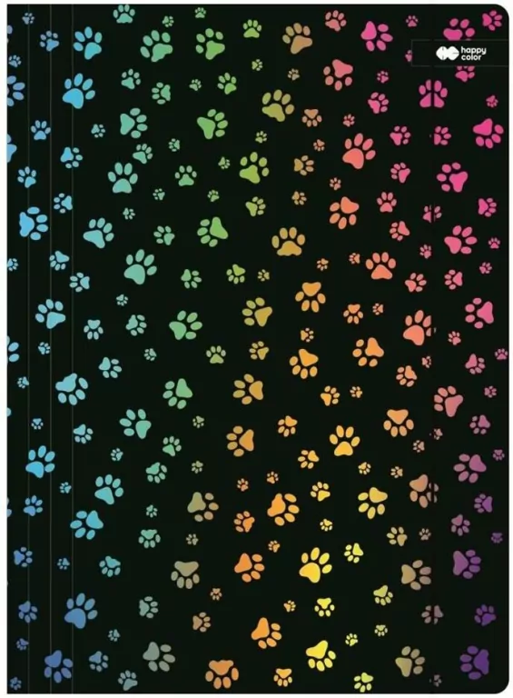 Teczka z gumką A4 Miaow czarna HAPPY COLOR - tantis.pl